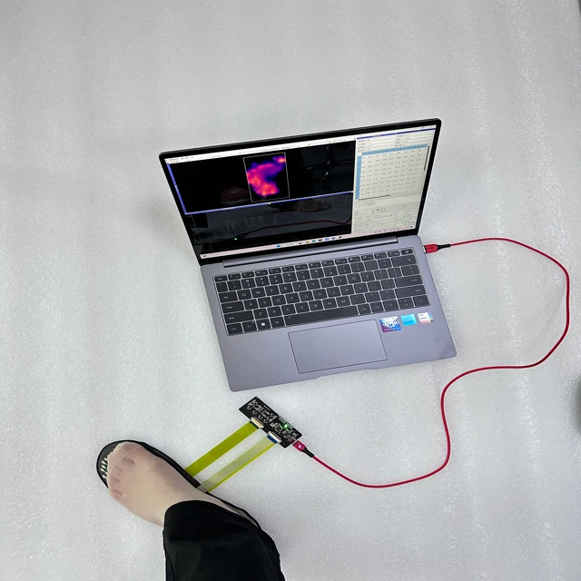 High Quality Multi-Area FSR Ty - Smart Insole Pressure avaliação e preço
